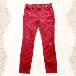 Express || Ankle Legging Pant